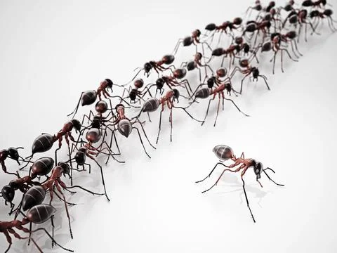 3D illustration of walking ants. Top view. 3D illustration Stock Illustration