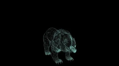 3d illustration - wire frame of bear attack on black background Stock Illustration