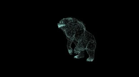3d illustration - wire frame of bear attack on black background Stock Illustration