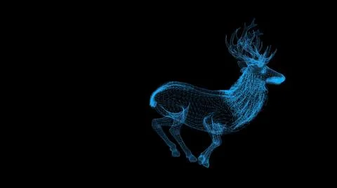 3d illustration - wire frame  of Deer on black background Stock Illustration