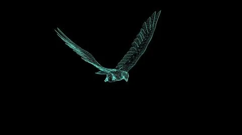 3d illustration - wire frame  of Falcon Gliding and Flapping on black backgro Stock Illustration