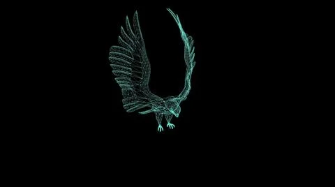 3d illustration - wire frame  of Falcon Gliding and Flapping on black backgro Stock Illustration