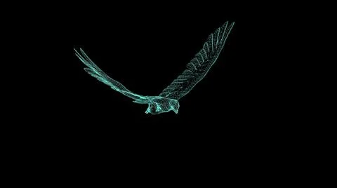 3d illustration - wire frame  of Falcon Gliding and Flapping on black backgro Stock Illustration