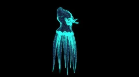 3d illustration - wire frame of Monster Octopus on black background Stock Illustration