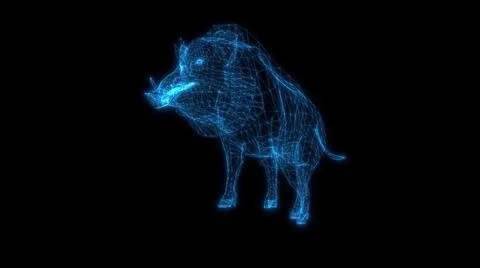3d illustration - wire frame  of Wild boar on black background Stock Illustration