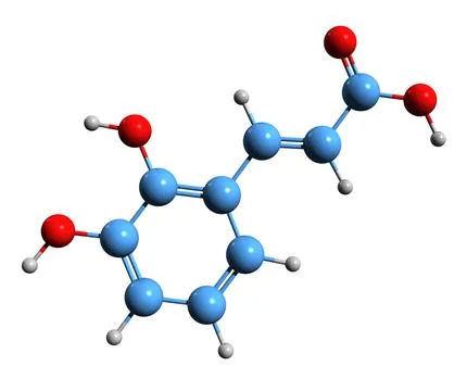 3D image of 2 3-dihydroxy cinnamic acid skeletal formula Stock Illustration