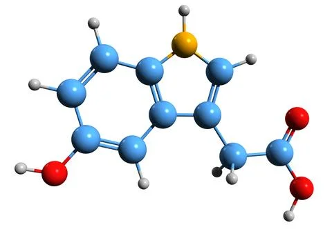 3D image of 5-Hydroxyindoleacetic acid skeletal formula Stock Illustration