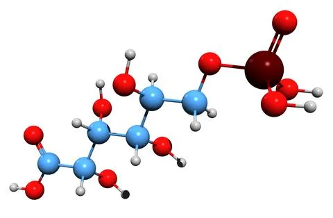 3D image of 6-Phosphogluconic acid skeletal formula Stock Illustration