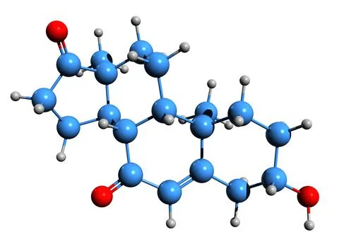 3D image of 7-Keto-DHEA skeletal formula Stock Illustration