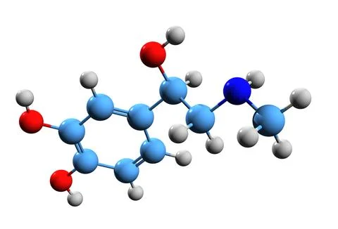 3D image of adrenalin skeletal formula Stock Illustration