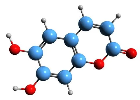 3D image of Aesculetin skeletal formula Stock Illustration