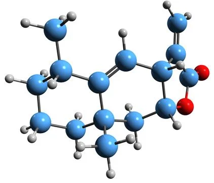3D image of alantolactone skeletal formula イラスト素材