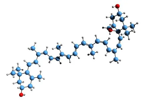 3D image of antheraxanthin skeletal formula Stock Illustration