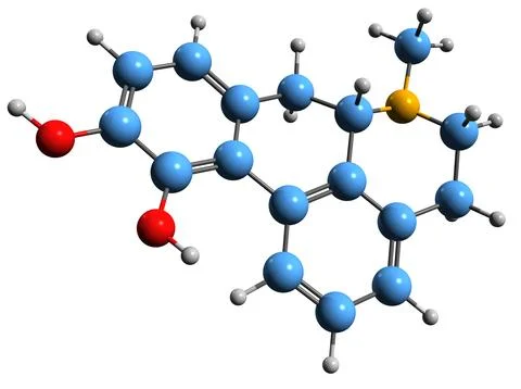 3D image of Apomorphine skeletal formula Illustration