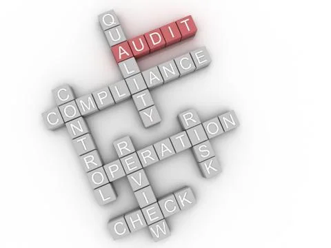 3d image audit issues concept word cloud background Stock Illustration