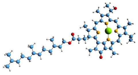 3D image of Bacteriochlorophyll d skeletal formula Stock Illustration
