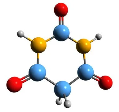 3D image of Barbituric acid skeletal formula Stock Illustration