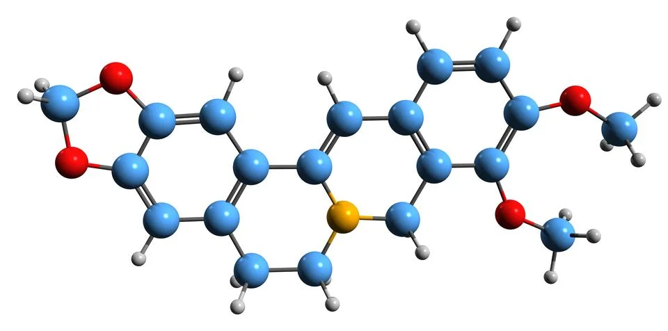 3D image of Berberine skeletal formula Stock Illustration