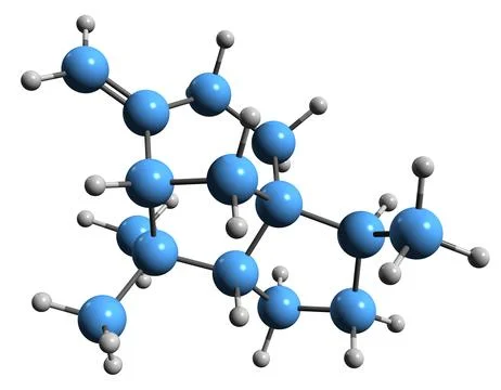 3D image of beta-cedren skeletal formula Stock Illustration