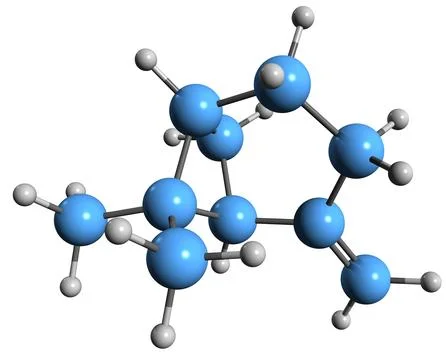 3D image of beta-Pinene skeletal formula Stock Illustration