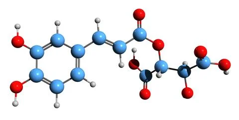 3D image of Caftaric acid skeletal formula Stock Illustration
