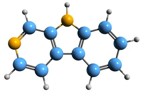 3D image of Carboline skeletal formula Stock Illustration