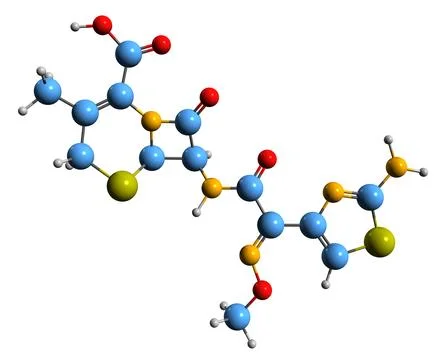 3D image of Cefetamet skeletal formula イラスト素材