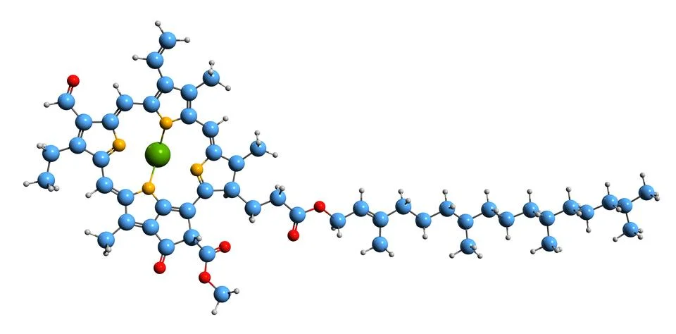 3D image of Chlorophyll b skeletal formula Stock Illustration