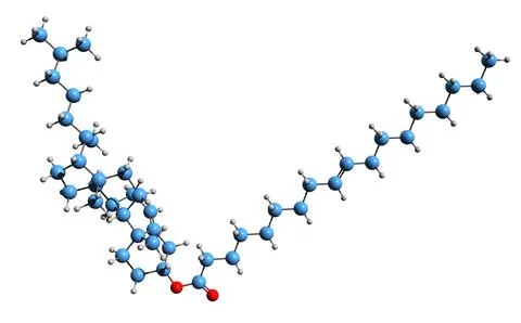 3D image of Cholesteryl ester skeletal formula Ilustración de archivo