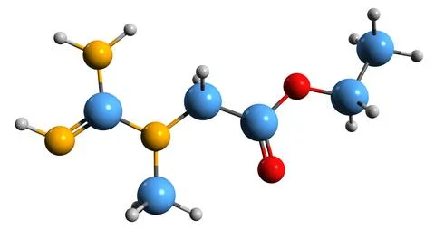 3D image of creatine ethyl ester skeletal formula Illustrazione stock