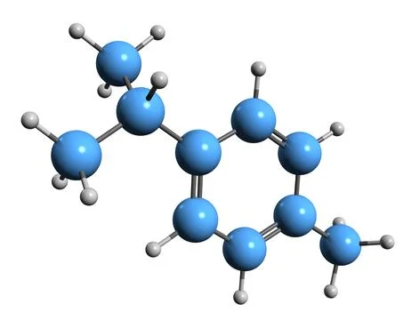 3D image of Cymene skeletal formula 스톡 일러스트