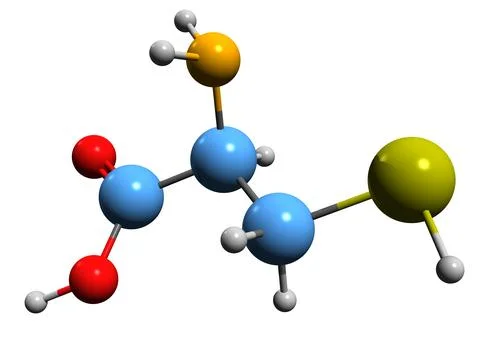 3D image of Cysteine skeletal formula Stock Illustration