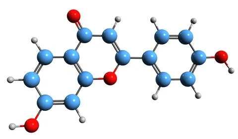 3D image of Daidzein skeletal formula Stock Illustration