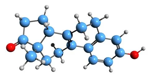 3D image of Dehydroestrone skeletal formula Illustrazione stock