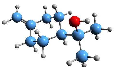 3D image of delta-terpineol skeletal formula Stock Illustration