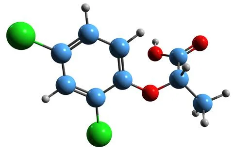 3D image of Dichlorprop skeletal formula Stock Illustration