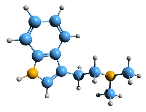 3D image of dimethyltryptamine skeletal formula Stock Illustration