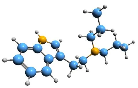 3D image of Dipropyltryptamine skeletal formula Stock Illustration