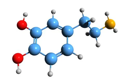 3D image of dopamine skeletal formula Stock Illustration