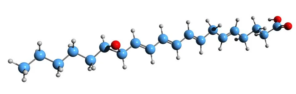 3D image of Eoxin A4 skeletal formula Stock Illustration