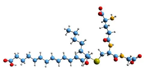 3D image of Eoxin C4 skeletal formula Stock Illustration