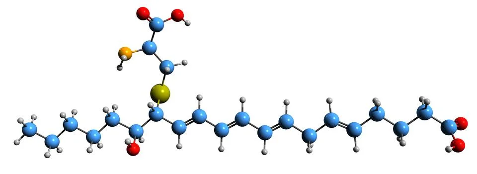 3D image of Eoxin E4 skeletal formula Stock Illustration