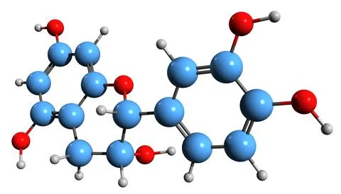 3D image of  epicatechin skeletal formula Stock Illustration