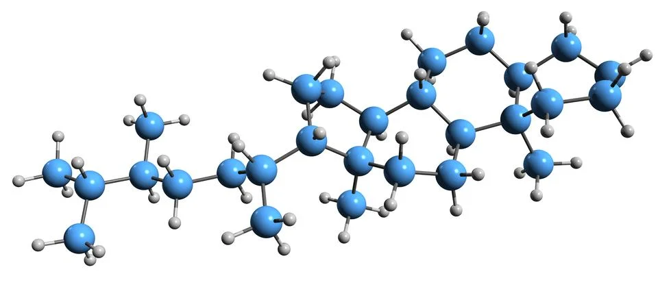 3D image of Ergostane skeletal formula Stock Illustration
