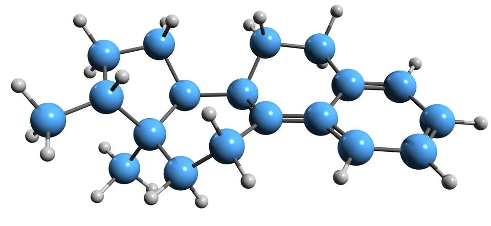 3D image of Estrin skeletal formula Illustrazione stock