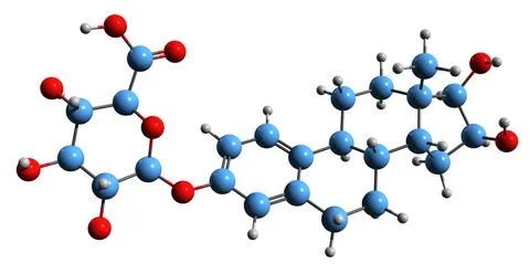 3D image of Estriol 3-glucuronide skeletal formula Illustrazione stock