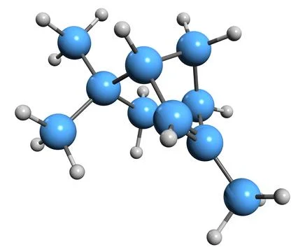 3D image of fenchen skeletal formula Stock Illustration