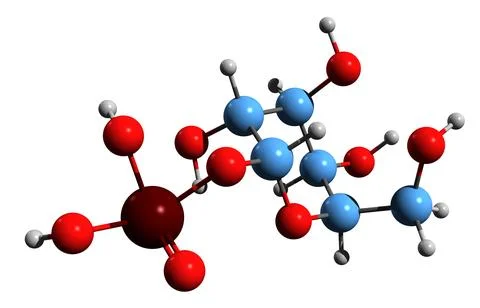 3D image of Galactose 1-phosphate skeletal formula Stock Illustration