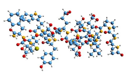 3D image of gastrin I skeletal formula Ilustración de archivo