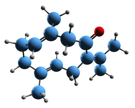 3D image of Germacrone skeletal formula Stock Illustration
